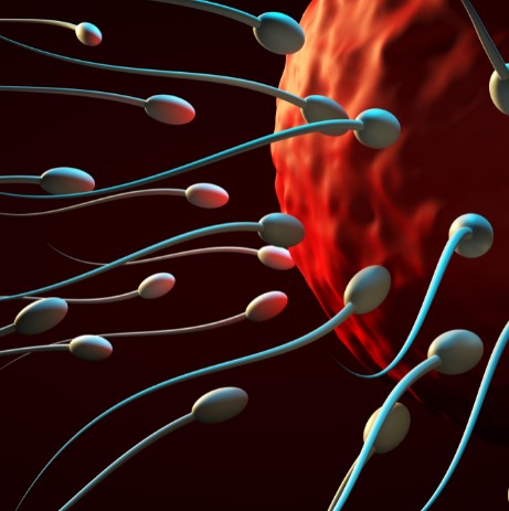 Cómo aumentar las posibilidades de éxito de la inseminación intrauterina