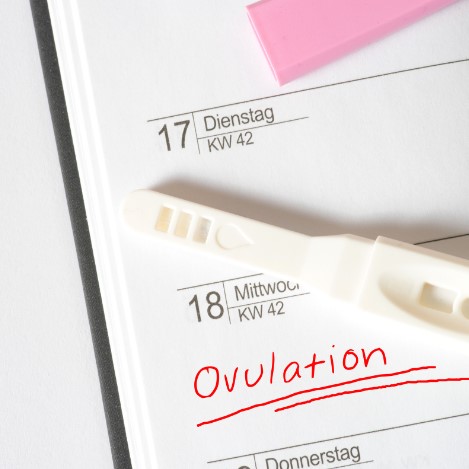 Cómo saber cuándo estoy ovulando  ¿Cuándo saber si una mujer está ovulando?