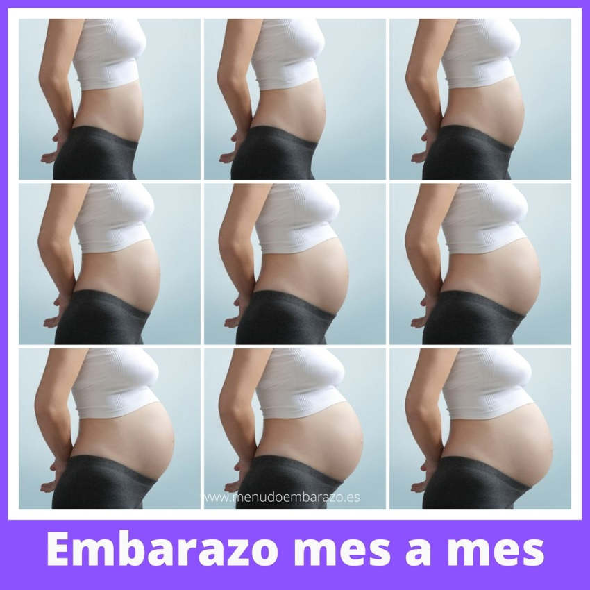 meses embarazo