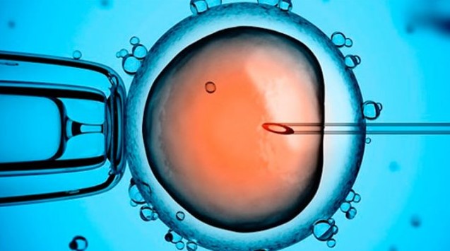 Fecundación in vitro (FIV) para el tratamiento de la infertilidad