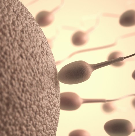 Tratamiento de inducción de la ovulación para infertilidad, fertilidad