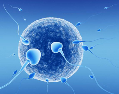 Procedimiento de inseminación intrauterina IIU