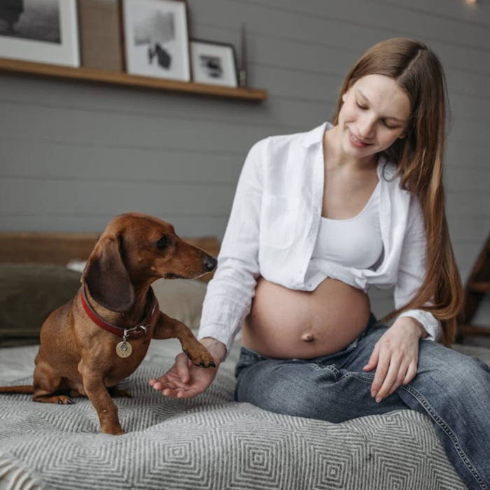 Embarazo y Mascotas: Cuidados Necesarios
