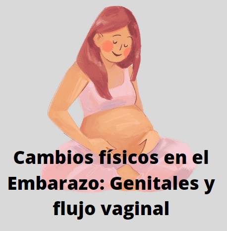 genitales flujo embarazo
