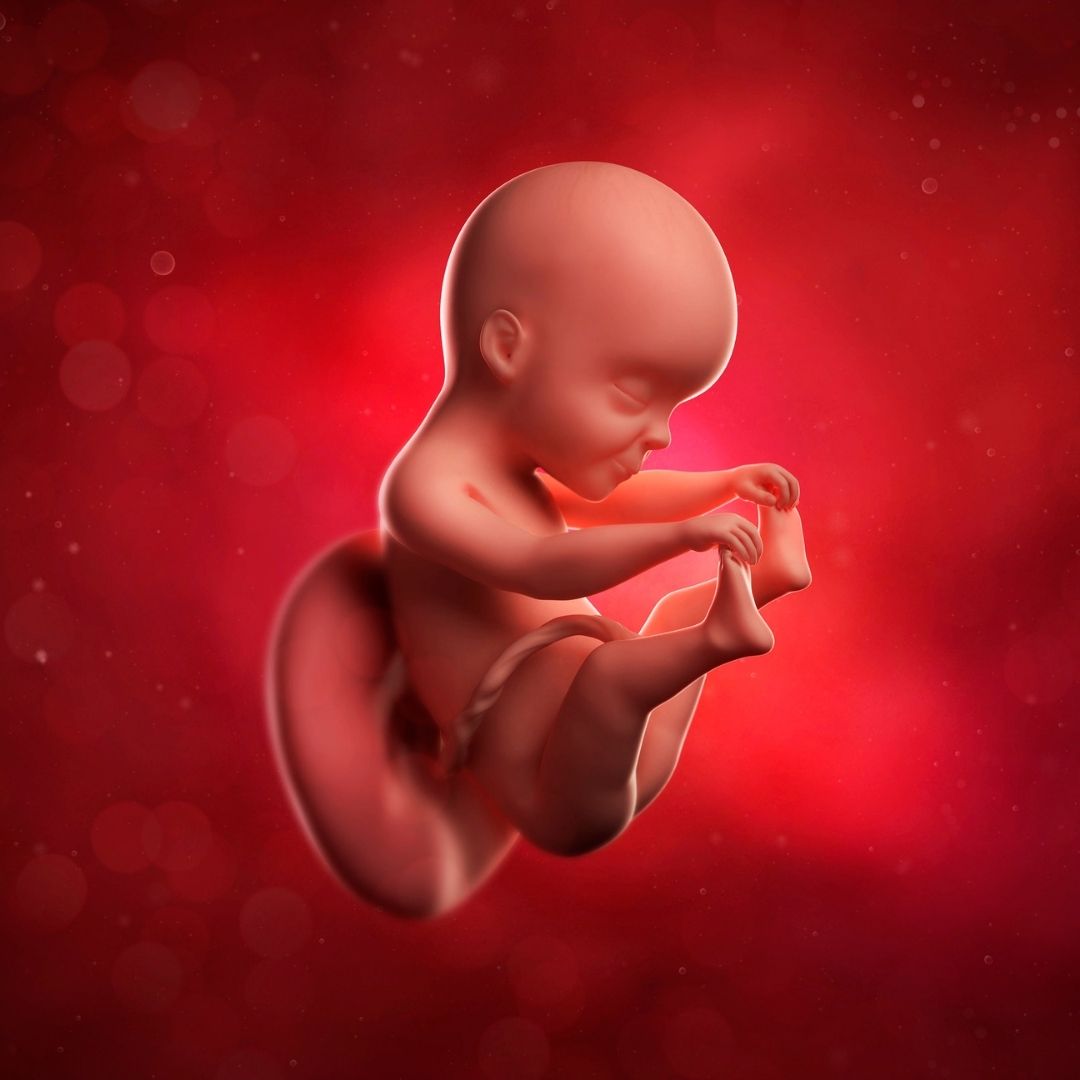 Embarazada, ¿Qué siente el bebé dentro del útero?